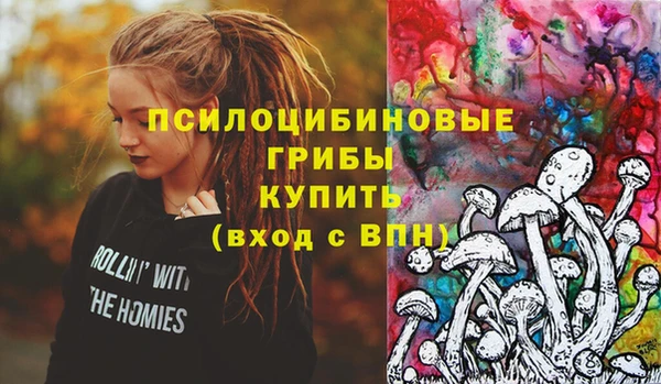 первитин Алексин
