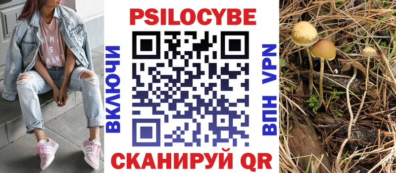 Купить где  Улан-Удэ  Псилоцибиновые грибы мухоморы 